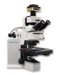 HORIBA DeltaMyc 荧光寿命成像显微镜
