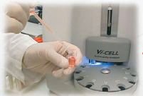 贝克曼库尔特Vi-CELL XR细胞存活率分析计数器——进样