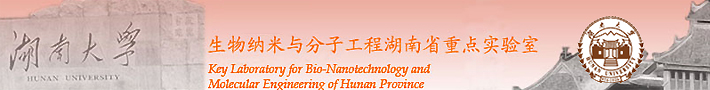 湖南大学 生物纳米与分子工程湖南省重点实验室