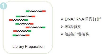 【华大基因BGI】中心技术平台-前沿Lab-分析测