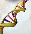 基因工程和蛋白质工程