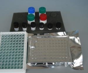 黄曲霉毒素B1检测试剂盒