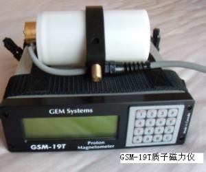 GSM-19T.
