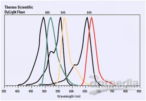 荧光标记基团的选择及其在荧光定量PCR中的应用