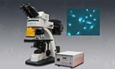 LW500LFT落射荧光显微镜(五色)