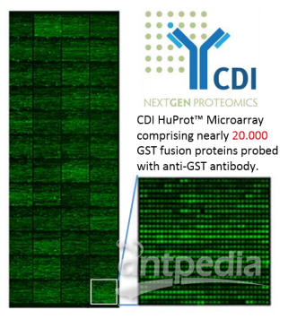 Huprot人类蛋白质组芯片----新一代组学研究工具