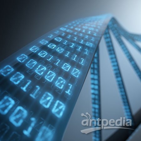 法庭科学DNA研究方案阅微基因 应用于刑侦
