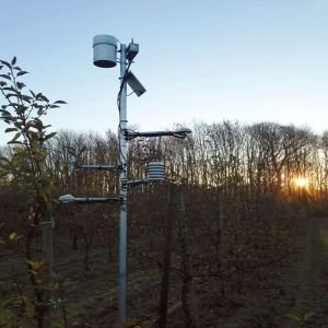 BFWS-100森林气象站