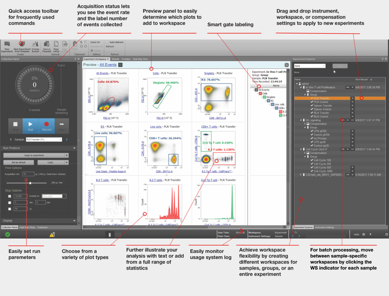 Screenshot of software interface